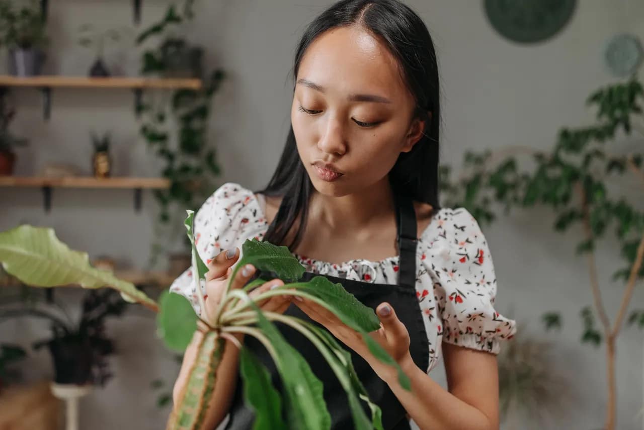 A woman looking at the leaf of her indoor plant