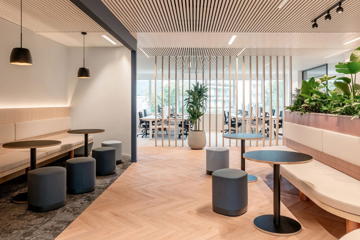 Commercial renovation project in Vancouver featuring a modern tenant improvement build-out