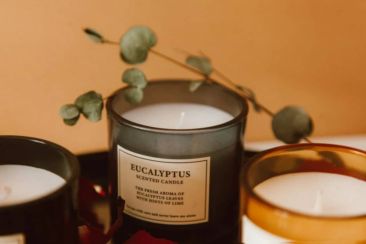 An eucalyptus-scented candle