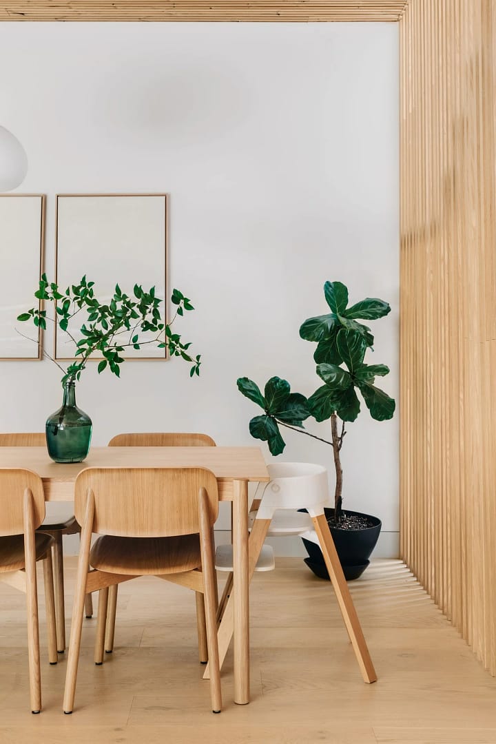 A modern dining room from a home renovation in Strathcona Vancouver featuring a light oak table and chairs, a large fiddle-leaf fig plant, and a natural wood slat accent wall.